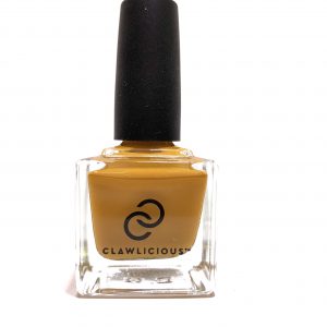 Luxury Nail Polish Gift Box:  Selection 1